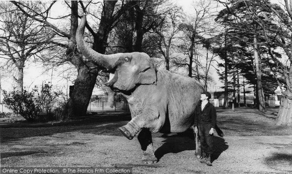 Photo of Chessington, Zoo, The Elephant c.1965
