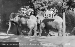 Elephant Rides c.1950, Chester Zoo
