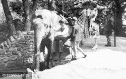 Elephant Riding c.1950, Chester Zoo