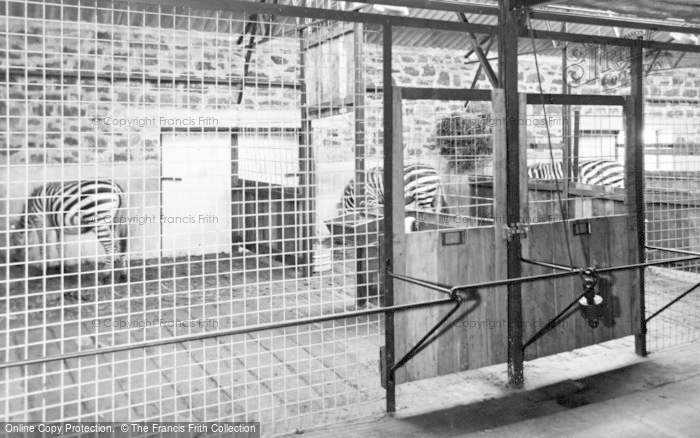 Photo of Chester Zoo, Interior Of The Zebra House c.1950