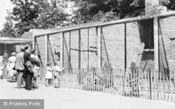 The Chimpanzee Cages c.1950, Chester Zoo