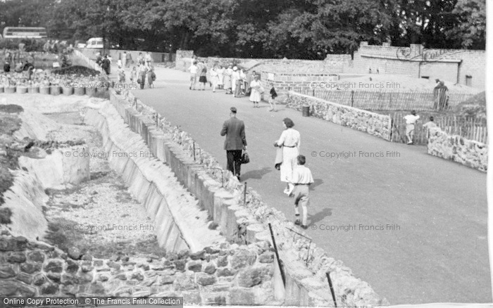 Photo of Chester Zoo, The Main Drive c.1950