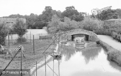 The Waterways c.1955, Chester Zoo
