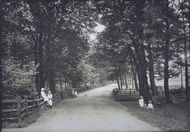 Somersall Avenue 1914, Chesterfield