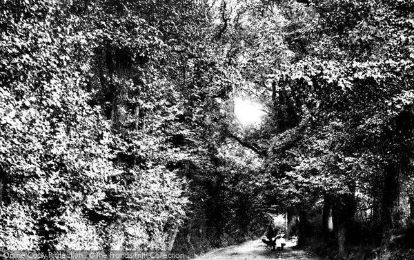 Photo of Chichester, Love Lane 1898