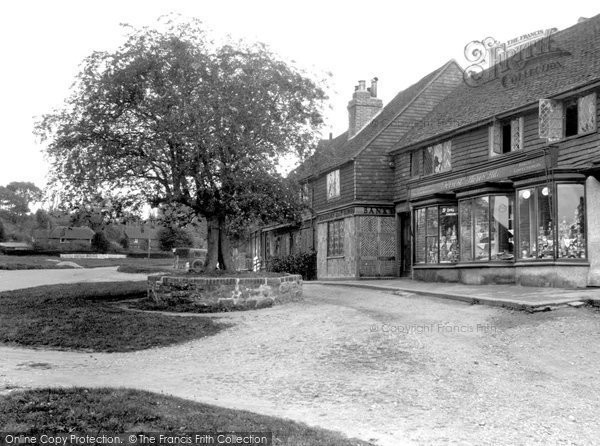 Photo of Chiddingfold, Old Thorn Tree 1933