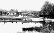 Village And Pond 1902, Chiddingfold