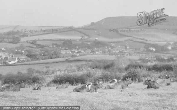 Photo of Chideock, General View c.1955