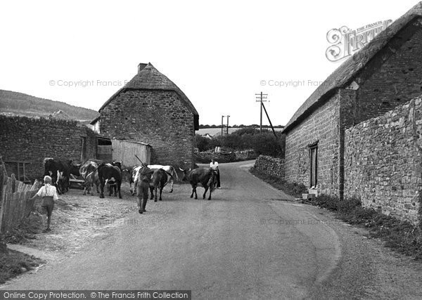 Photo of Chideock, Village c.1950