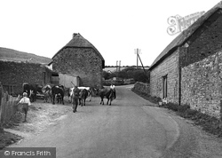 Village c.1950, Chideock