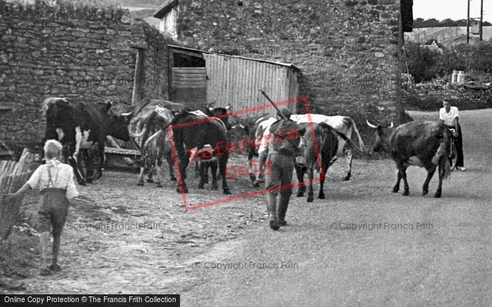 Photo of Chideock, Village Life c.1950