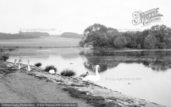 Photo of Chigwell Row, The Lake, Hainault Forest c.1955