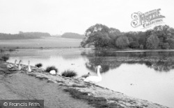 The Lake, Hainault Forest c.1955, Chigwell Row