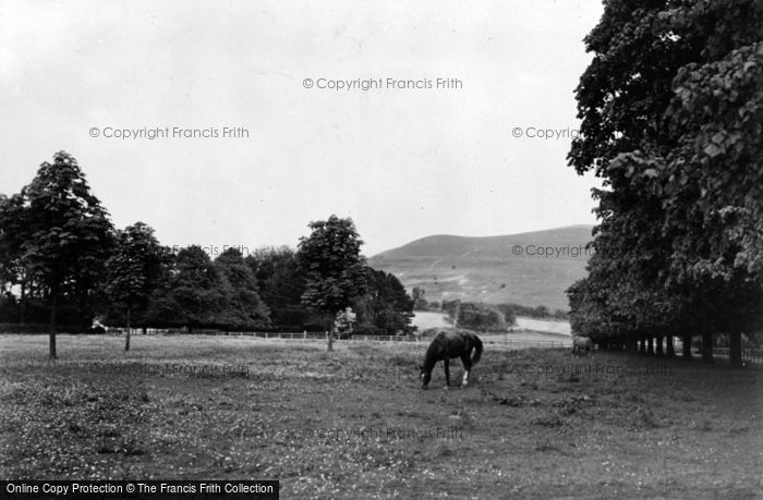 Photo of Child Okeford, Hambledon Hill And Meadow c.1955