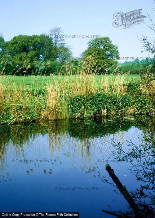 Photo of Child Okeford, Reeds On The Stour At Hod Hill 2006