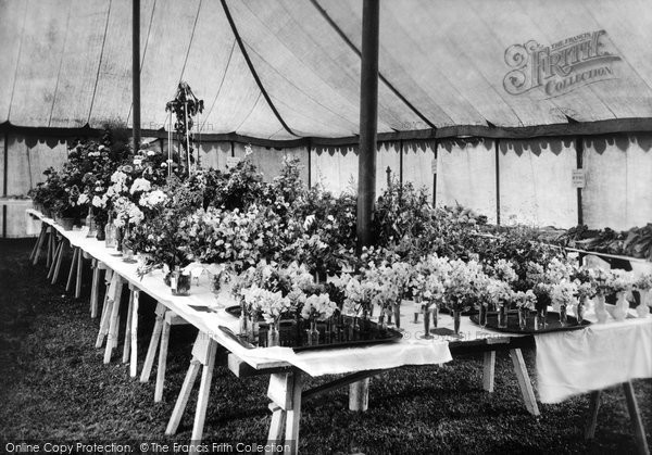 Photo of Chilham, Flower Show 1908