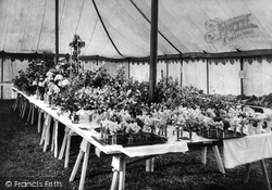 Flower Show 1908, Chilham