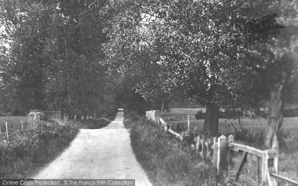 Photo of Chilham, The Avenue 1925