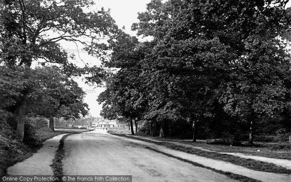 Photo of Chingford, Bury Road 1907