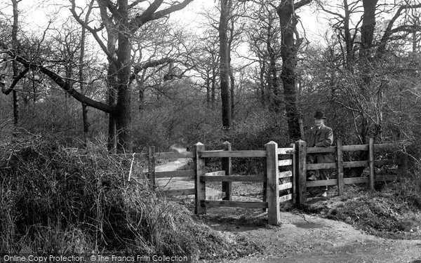 Photo of Chingford, Epping Forest 1906