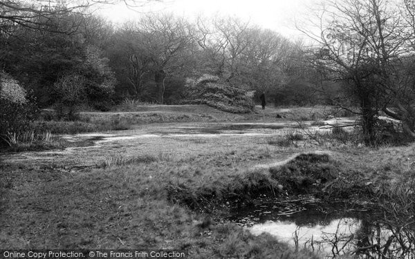 Photo of Chingford, Epping Forest, Cuckoo Pits 1907
