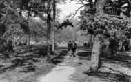 The Island c.1955, Chippenham