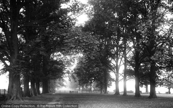 Photo of Chipping Ongar, Greensted Avenue 1923