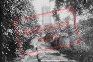 Mill Walk 1903, Chipping Sodbury