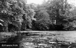 The Pond c.1960, Chipstead