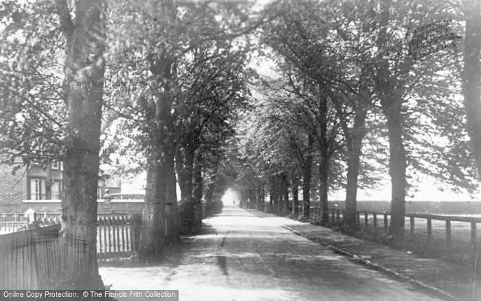 Photo of Chirk, Station Avenue c.1955