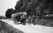 Horse And Cart In Hodson Road c.1914, Chiseldon