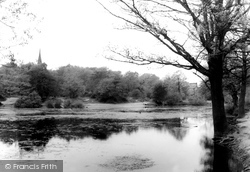 Rush Pond, Ashfield Lane c.1965, Chislehurst