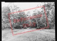 The Common c.1955, Chislehurst