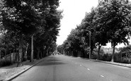 Chiswick, Chertsey Road c1960