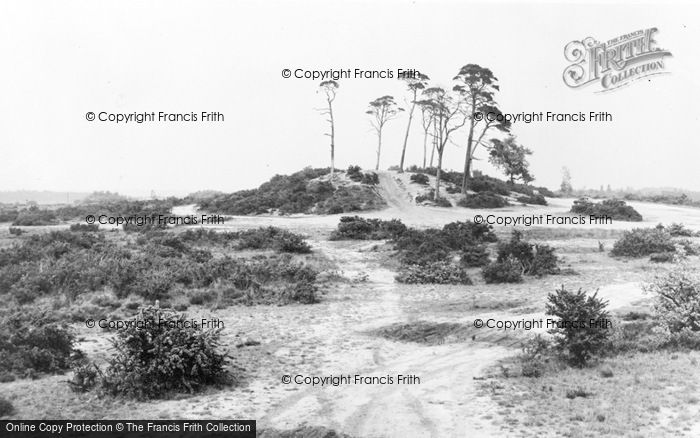 Photo of Chobham, Common And The Clump c.1960
