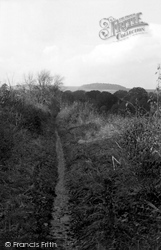 Chestnut Walk c.1955, Cholderton