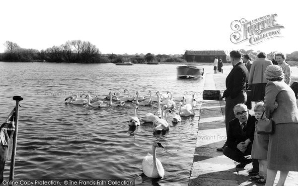 Photo of Christchurch, Feeding The Swans At Christchurch Quay c.1960