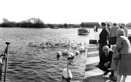 Feeding The Swans At Christchurch Quay c.1960, Christchurch