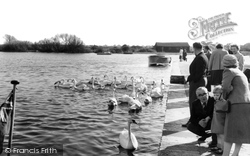 Feeding The Swans At Christchurch Quay c.1960, Christchurch