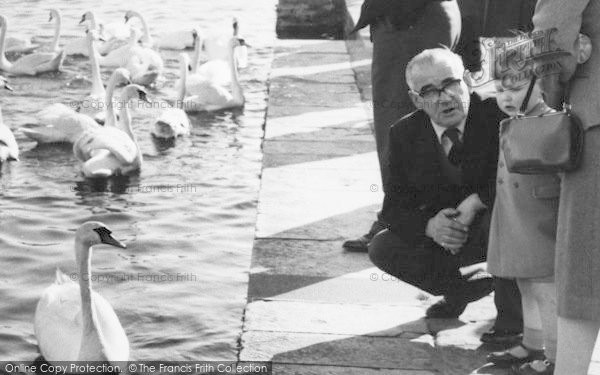 Photo of Christchurch, Feeding The Swans At Christchurch Quay c.1960