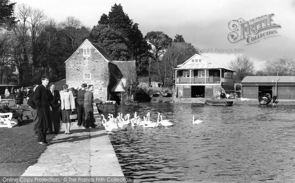 Photo of Christchurch, Feeding The Swans At The Quay c.1960