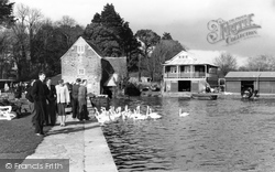 Feeding The Swans At The Quay c.1960, Christchurch