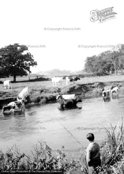 Photo of Christchurch, Fishing On The River Stour c.1960