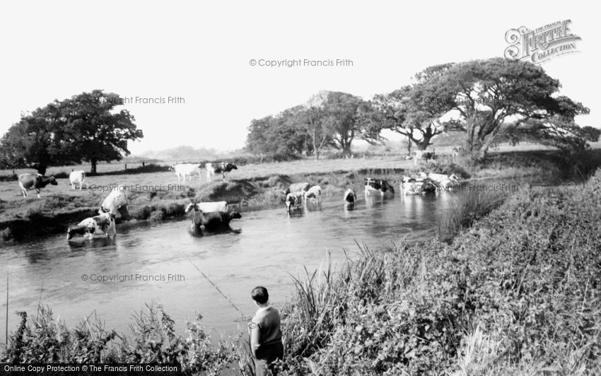 Christchurch, the River Stour c1960