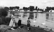 Wick Ferry c.1955, Christchurch