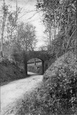 The Arch 1906, Chudleigh