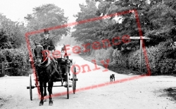 Horse And Carriage At The Cross Roads 1910, Church Crookham