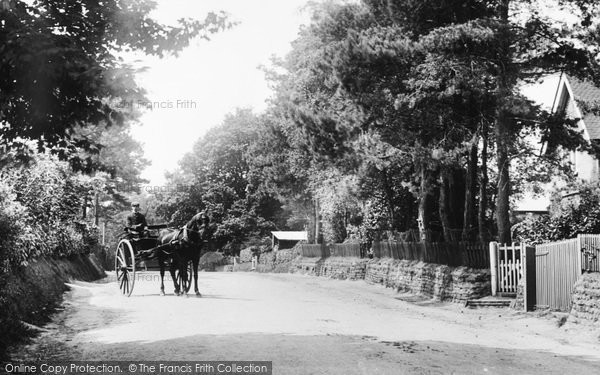 Photo of Church Crookham, Horse And Trap, Aldershot Road 1906