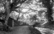 Barford Stream 1924, Churt