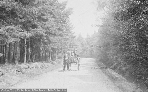 Photo of Churt, Cart On Road To Pride Of The Valley 1906
